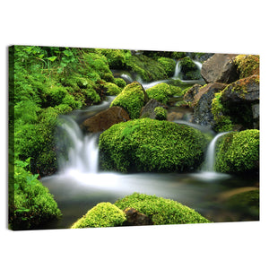 Mountain Stream Wall Art