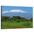 Mount Kilimanjaro Snow Capped Peak Wall Art