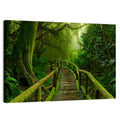 Misty Nepal Jungle Boardwalk Wall Art