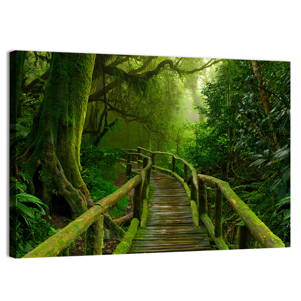 Misty Nepal Jungle Boardwalk Wall Art, canvas print, landscape