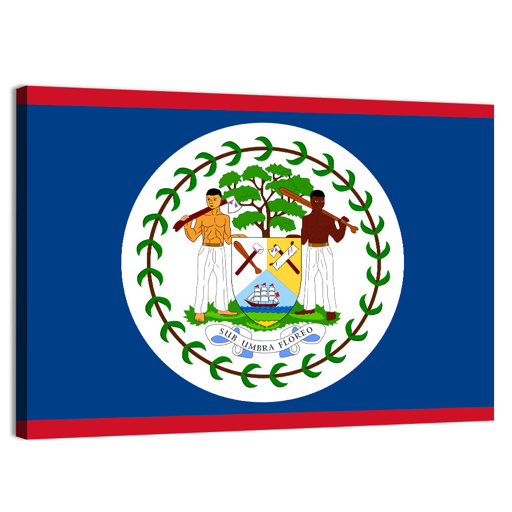 Belize National Flag Emblem Wall Art, canvas print, landscape