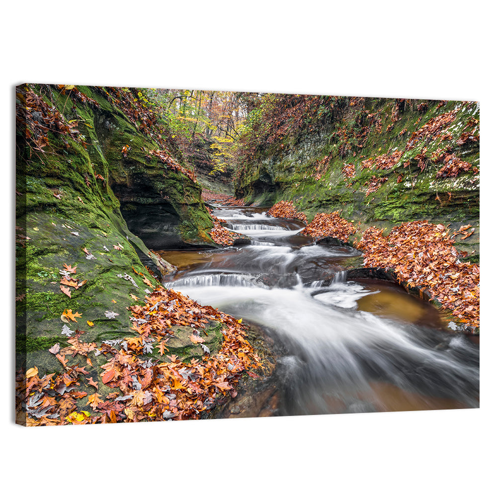 Warren County Autumn Cascades Wall Art