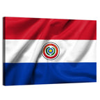 Paraguay Flag with Emblem Wall Art