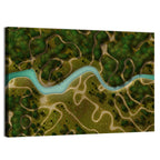 Winding River Trail Aerial Wall Art