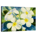 White Plumeria Watercolor Study Wall Art
