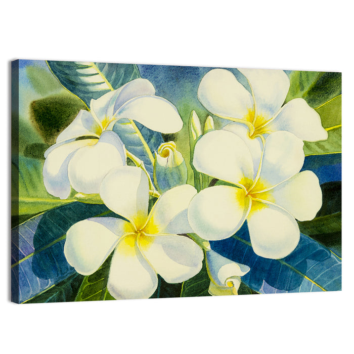 White Plumeria Watercolor Study Wall Art as a canvas print