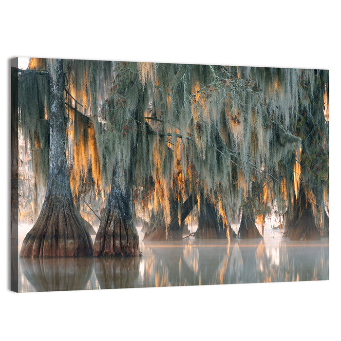 Bald Cypress Trees with Spanish Moss Wall Art as a canvas print
