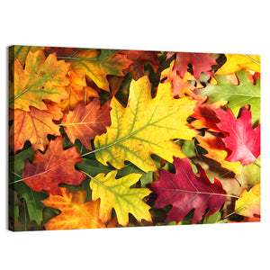 Colorful Oak Autumn Leaves Wall Art