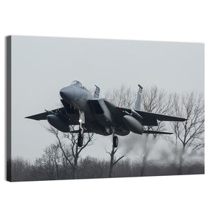 USAF F-15 Eagle Jet Wall Art