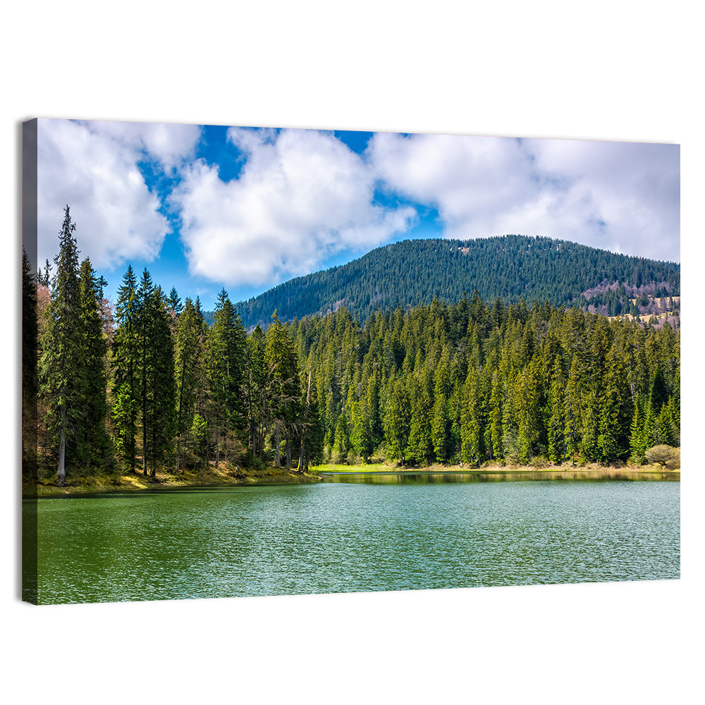 Synevir Mountain Lake Wall Art