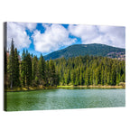 Synevir Mountain Lake Wall Art