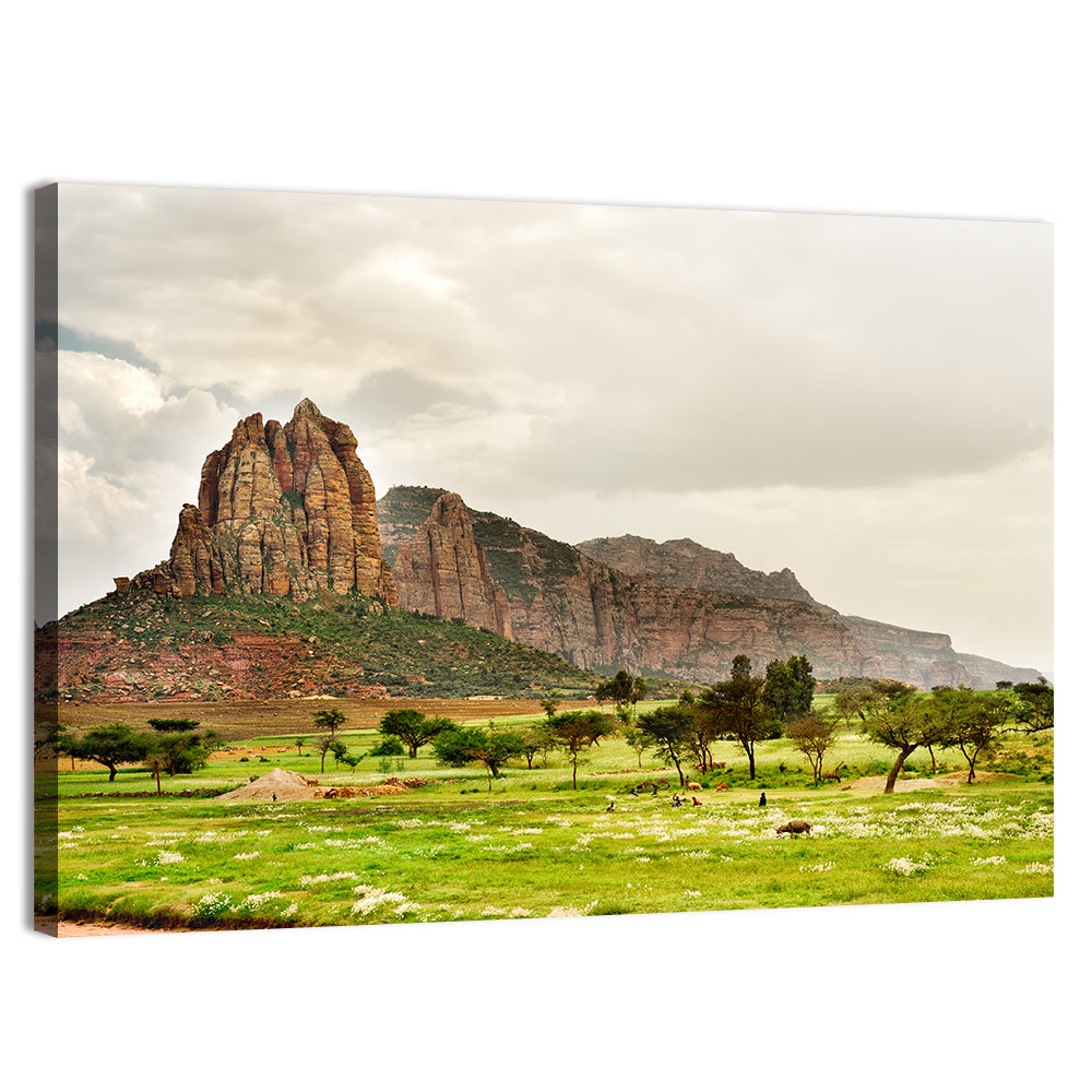 Tigray Mountain Meadow Wall Art