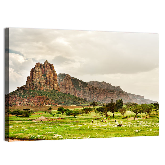 Tigray Mountain Meadow Wall Art as a canvas print