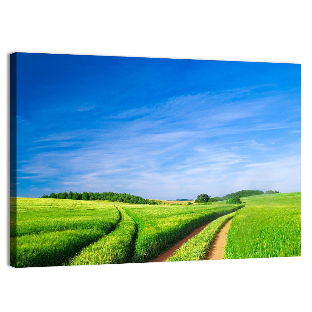 Summer Meadow with Dirt Path Wall Art