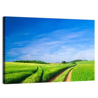 Summer Green Field Wall Art
