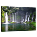 Shiraito Falls Wall Art