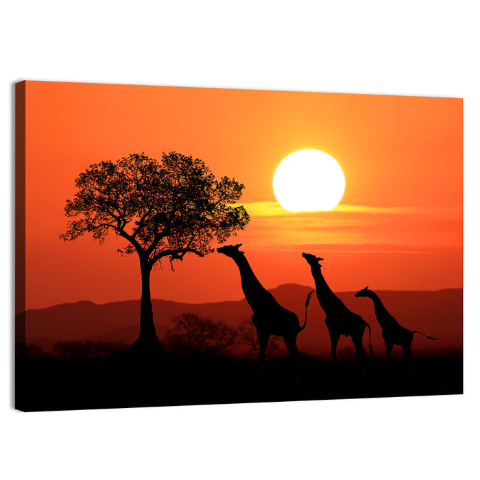 Three Giraffes at Sunset Wall Art as a canvas print