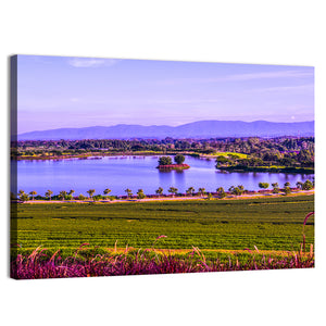 Tea Plantation With Lake In Thai Wall Art