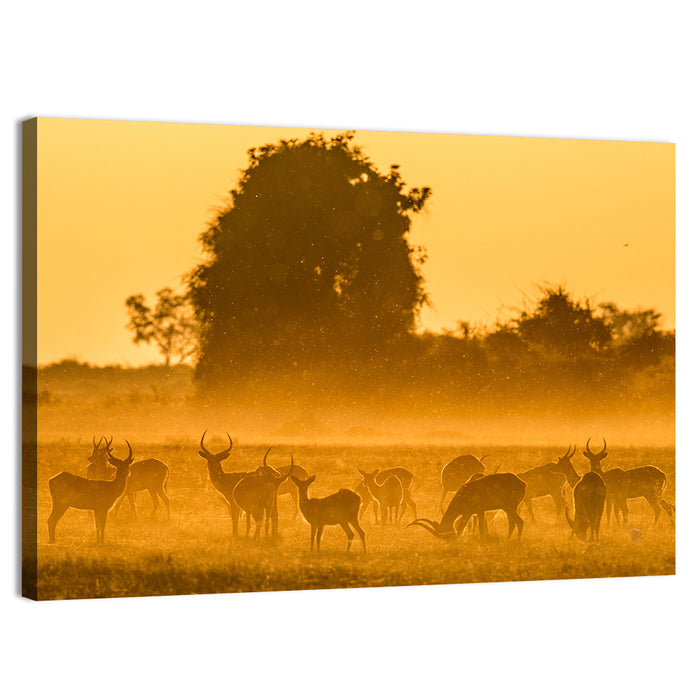 Antelope Herd at Golden Hour Wall Art as a canvas print