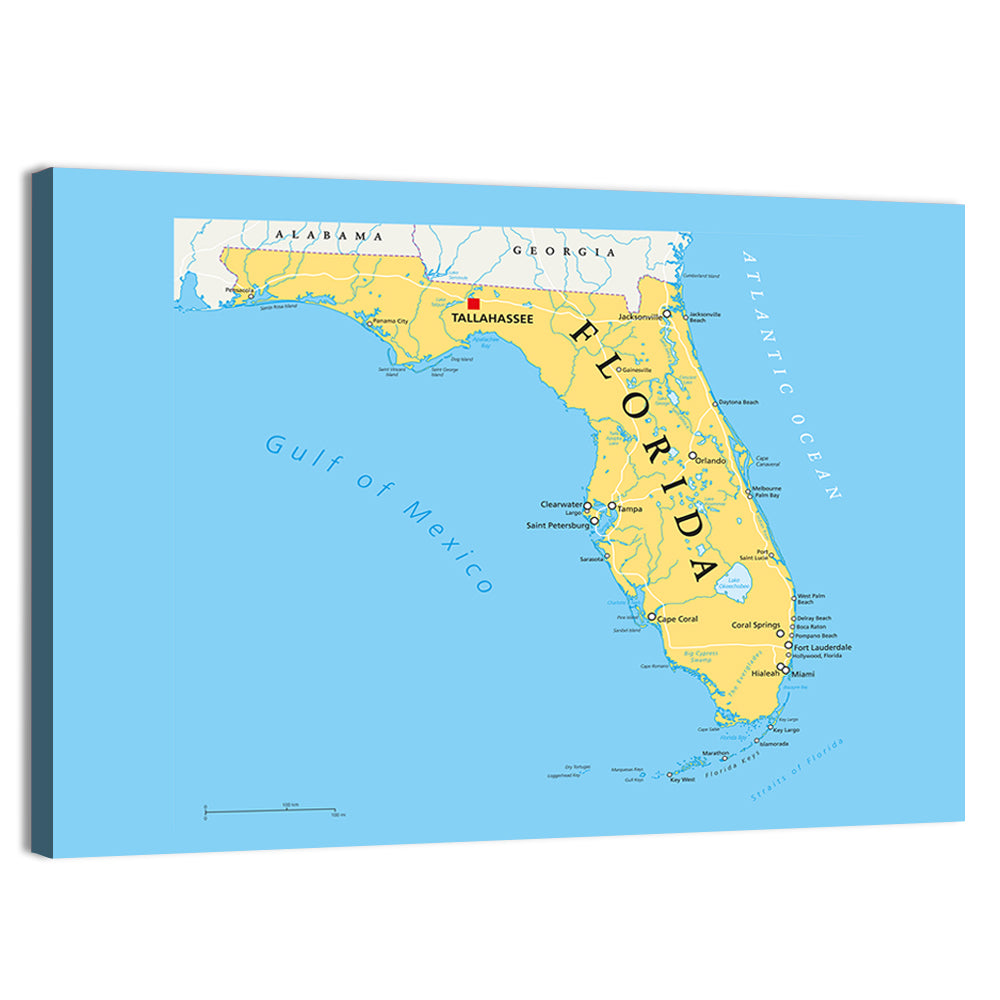 Florida Political Map, Blue and Yellow Wall Art, canvas print, landscape
