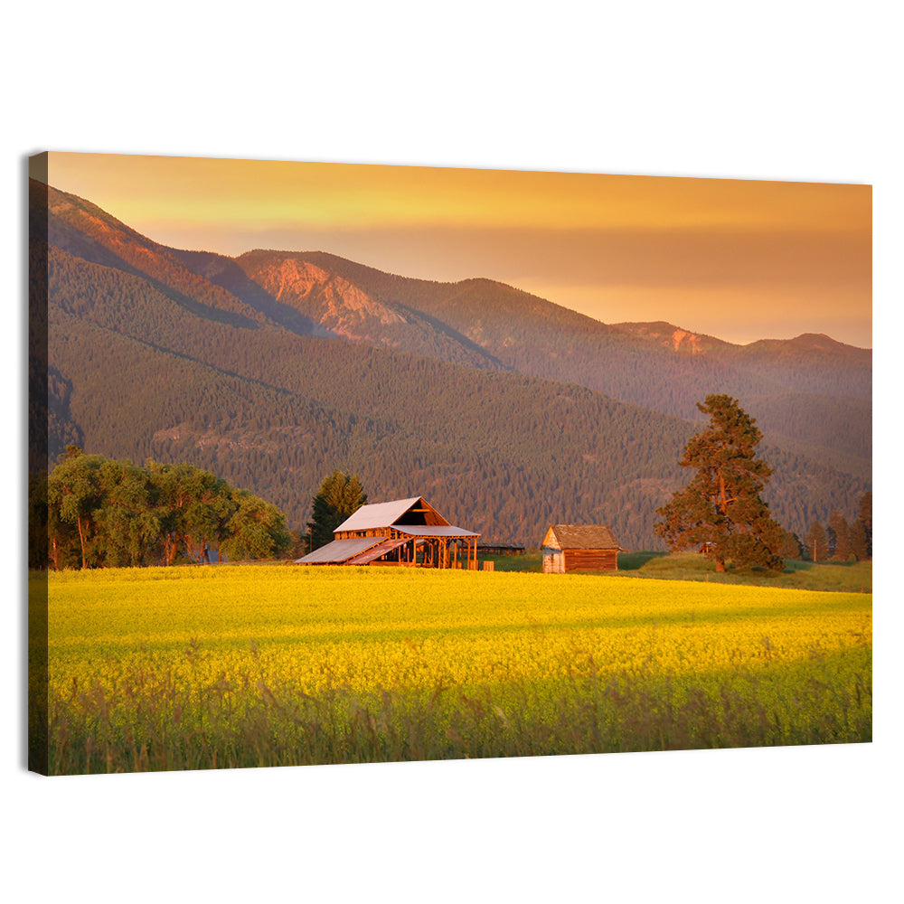 Rapeseed Field and Barn at Golden Hour Wall Art, canvas print, landscape