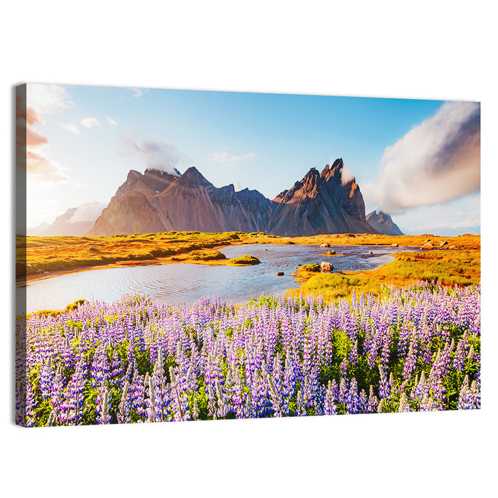 Lupine Fields at Vestrahorn Wall Art as a canvas print