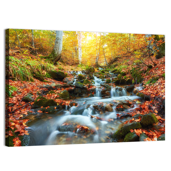 Backlit Autumn Forest Stream Wall Art as a canvas print