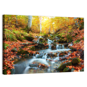 Autumn Stream In Forest Wall Art