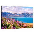 Lake Tekapo Lupine Meadow Wall Art