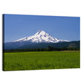 Mount Hood Meadow View Wall Art