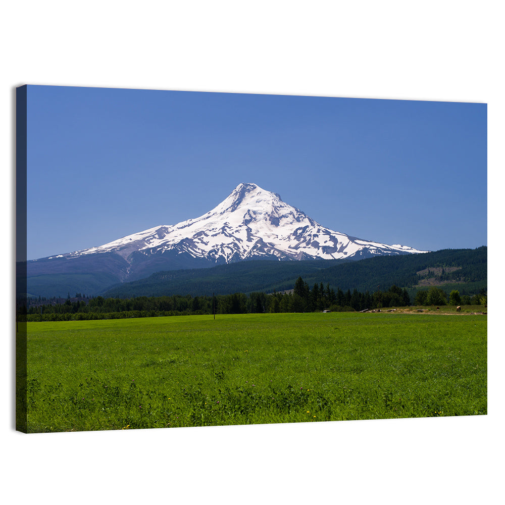 Mount Hood Meadow View Wall Art