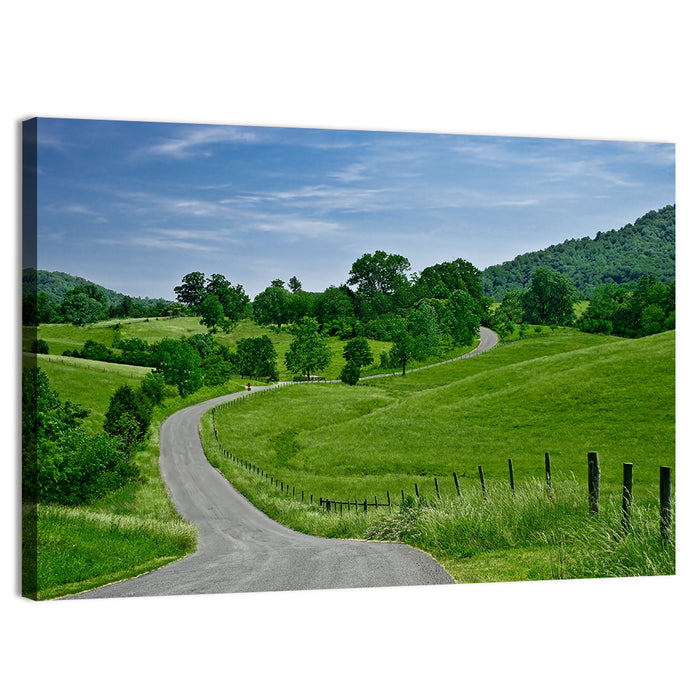Blue Ridge Winding Road, Western Virginia Wall Art as a canvas print