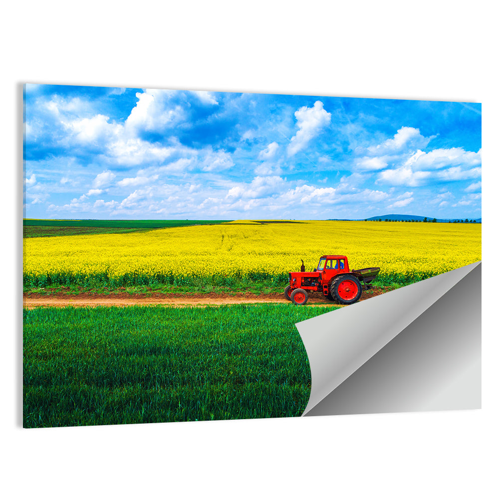 Red Tractor Over Yellow Rapeseed Field Wall Art