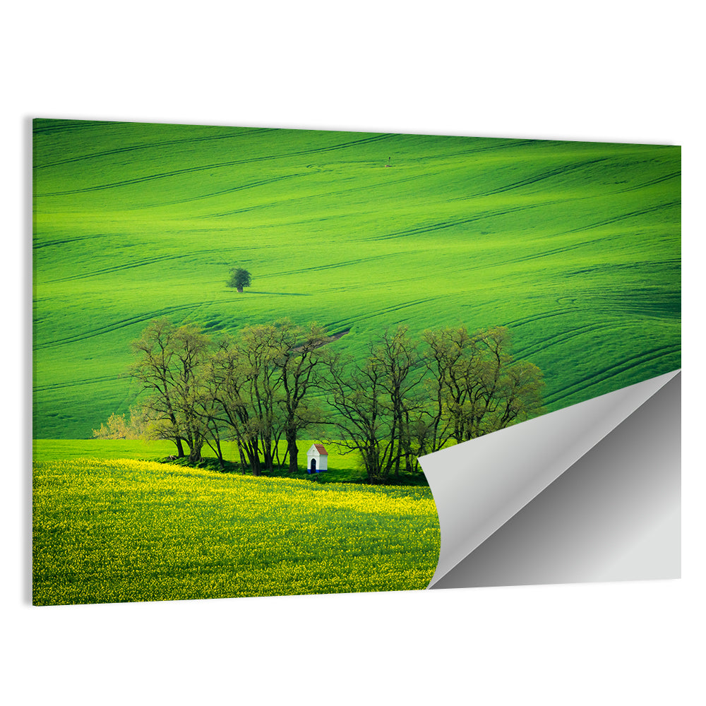 Chapel of Saint Barbara, Moravia Wall Art