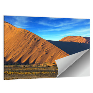 Dunes Of Namib Desert Wall Art