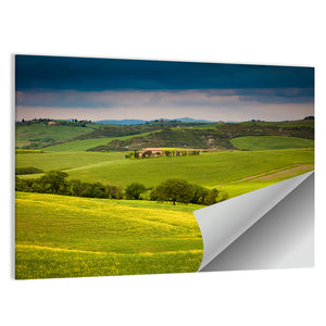 Tuscany In Summer Wall Art