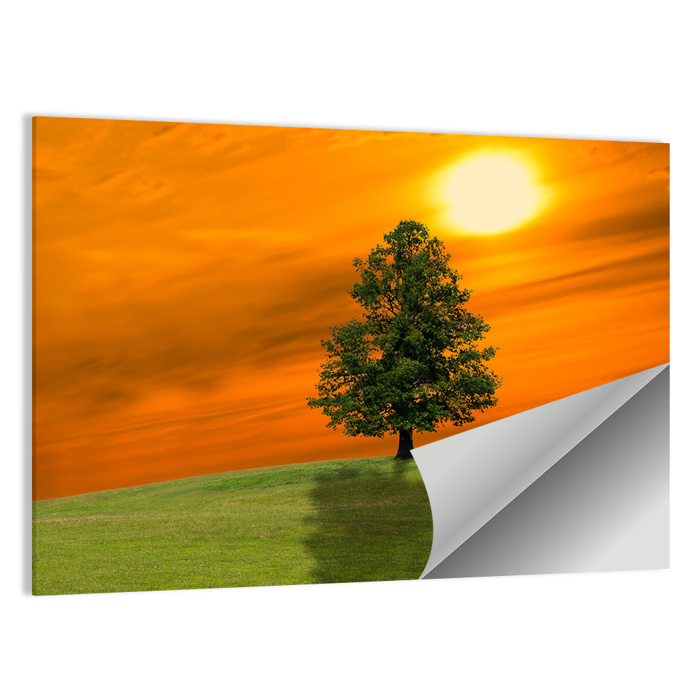 Lonely Tree on Green Hill at Sunset Wall Art