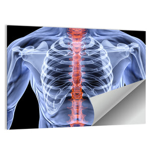 Men Backbone X-Ray Wall Art