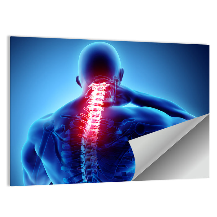 Cervical Spine X-ray Illustration Wall Art as a poster print