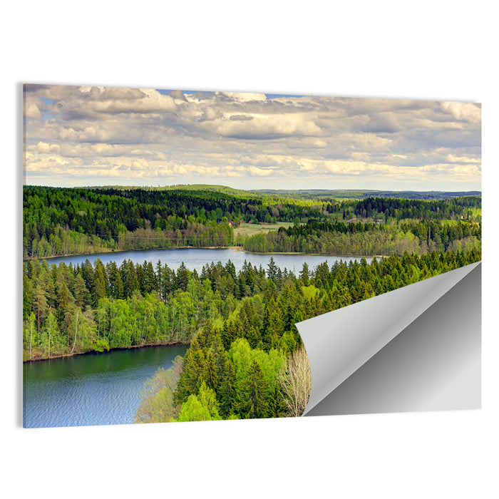 Aulanko Reserve Lake View Wall Art as a poster print