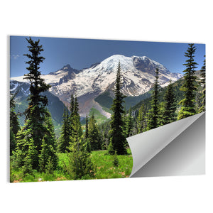 Mt Rainier & Conical Pine Trees Wall Art