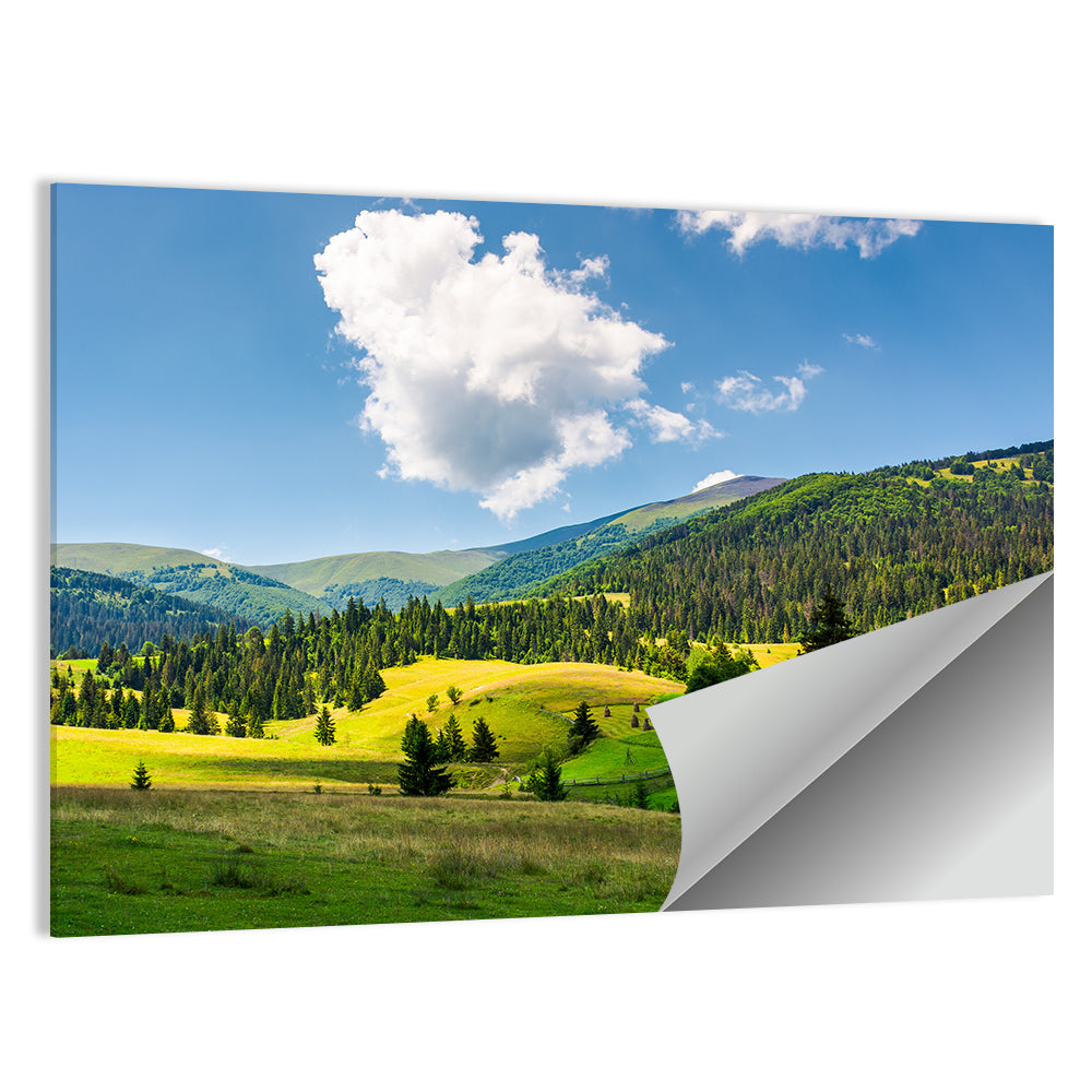Sunlit Haystacks on Rolling Grassy Hills Wall Art