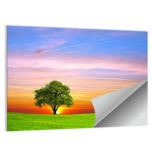 Tree On The Field Wall Art