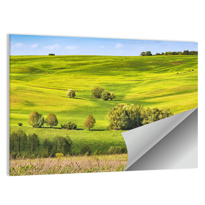 Rolling Hills of Ukraine Wall Art as a poster print