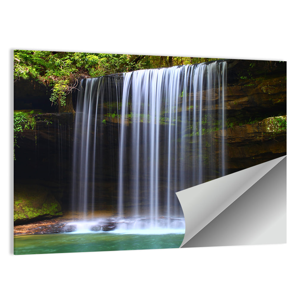Upper Caney Creek Falls, Mossy Cliff Wall Art