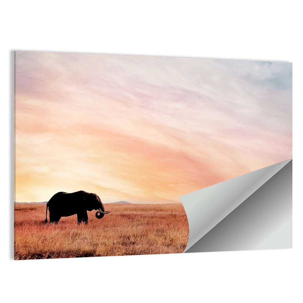 Savannah Elephant at Sunset Wall Art