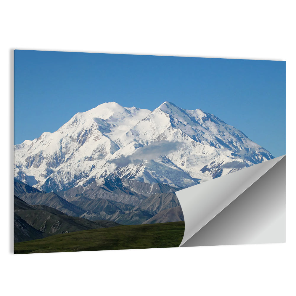 Mount Mckinley in Denali National Park Wall Art