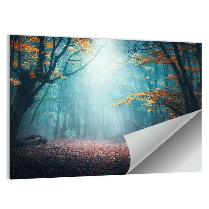Misty Forest Path with Glowing Light Wall Art as a poster print