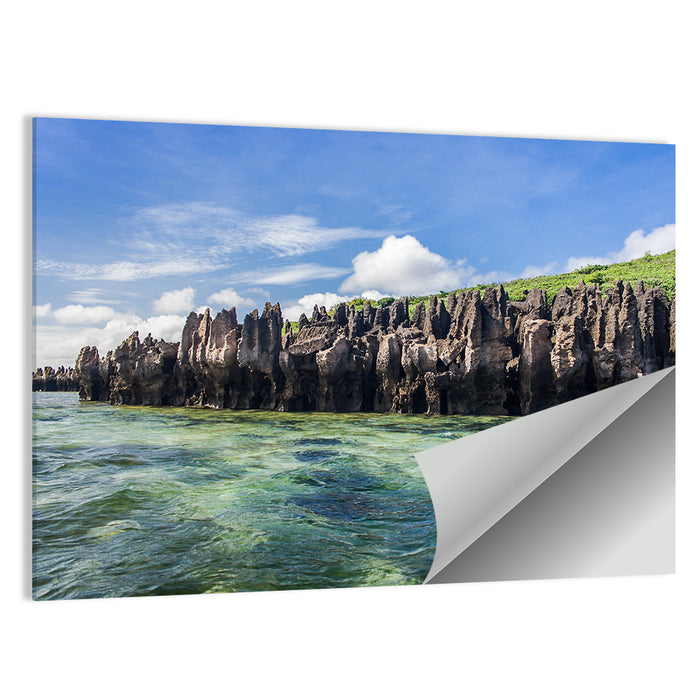 Emerald Sea Coastline, Madagascar Wall Art as a poster print