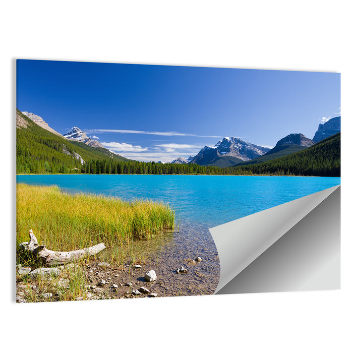 Jasper Lake with Driftwood Wall Art as a poster print